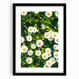 Extra large abstract art print featuring a textured, colorful design with vibrant spring hues on a framed black mat.