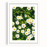 Abstract art print depicting spring, with soft green and white tones on a framed canvas.