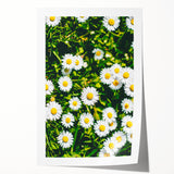 Rolled canvas print featuring a spring floral design in soft pastel hues, ideal for art wall dining room.