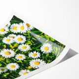 Extra large rolled print featuring line art flowers in pastel colors, suitable for large living room wall art.