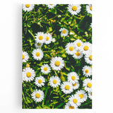 Large black and white abstract art on stretched canvas, featuring spring-themed imagery, ideal for kitchen wall art.