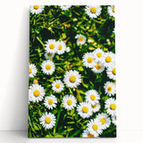 Large black and white canvas depicting a spring tree in bloom, ideal for kitchen wall art or bedroom ambiance.