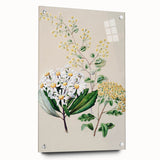 Fine Art Realism: Antique Botanical Floral Illustration Wall Art Canvas