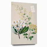 Fine Art Realism: Antique Botanical Floral Illustration Wall Art Canvas