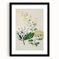 Fine Art Realism: Antique Botanical Floral Illustration Wall Art Canvas
