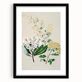 Fine Art Realism: Antique Botanical Floral Illustration Wall Art Canvas