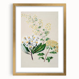 Fine Art Realism: Antique Botanical Floral Illustration Wall Art Canvas