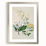 Fine Art Realism: Antique Botanical Floral Illustration Wall Art Canvas
