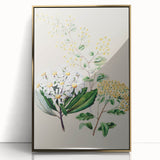 Fine Art Realism: Antique Botanical Floral Illustration Wall Art Canvas