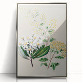 Fine Art Realism: Antique Botanical Floral Illustration Wall Art Canvas