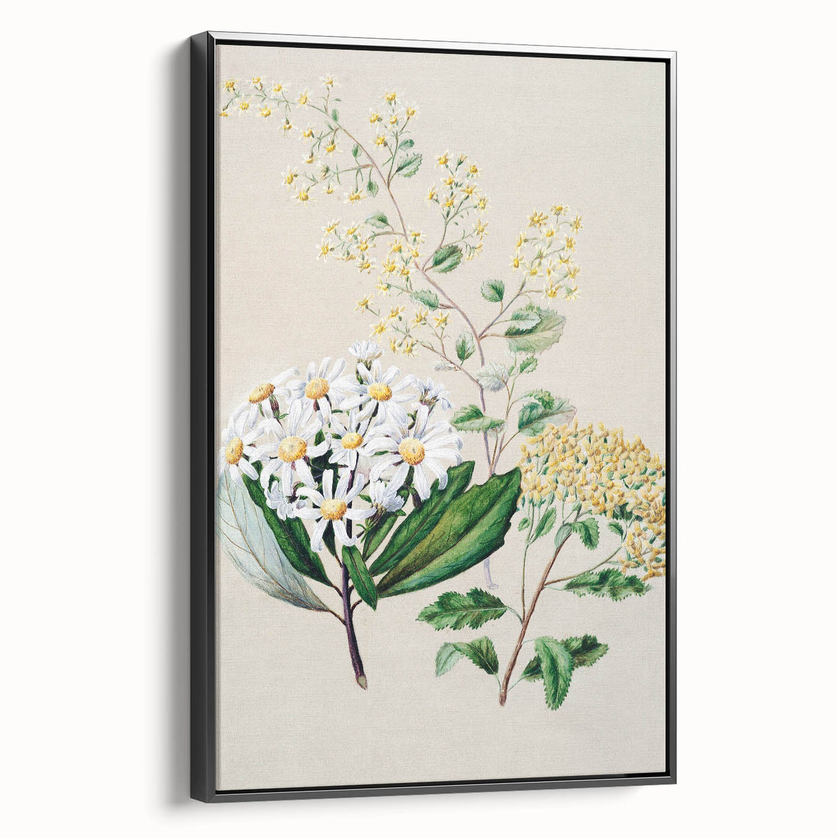 Fine Art Realism: Antique Botanical Floral Illustration Wall Art Canvas