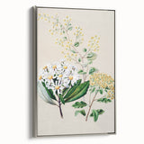 Fine Art Realism: Antique Botanical Floral Illustration Wall Art Canvas