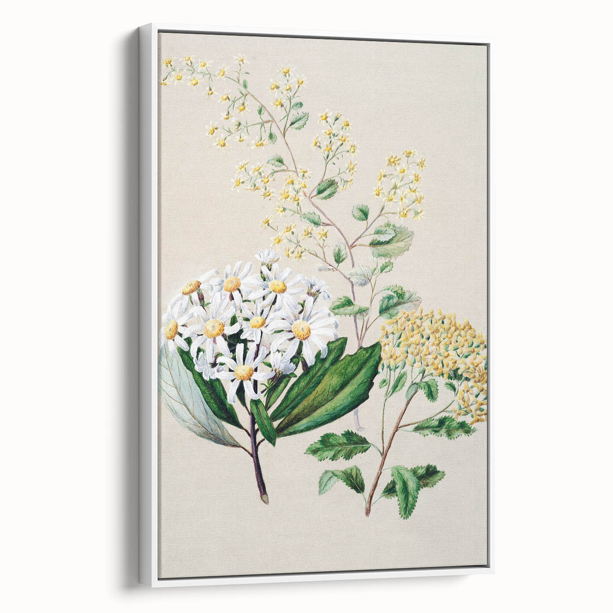 Fine Art Realism: Antique Botanical Floral Illustration Wall Art Canvas
