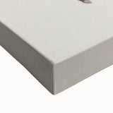 Fine Art Realism: Antique Botanical Floral Illustration Wall Art Canvas