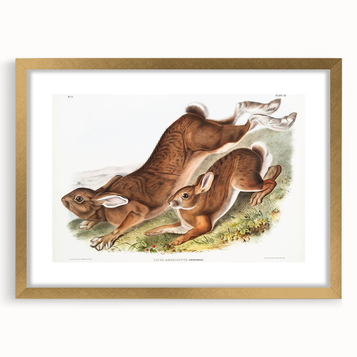 Romanticism Art: Northern Hares - Classic Romantic Wildlife Canvas