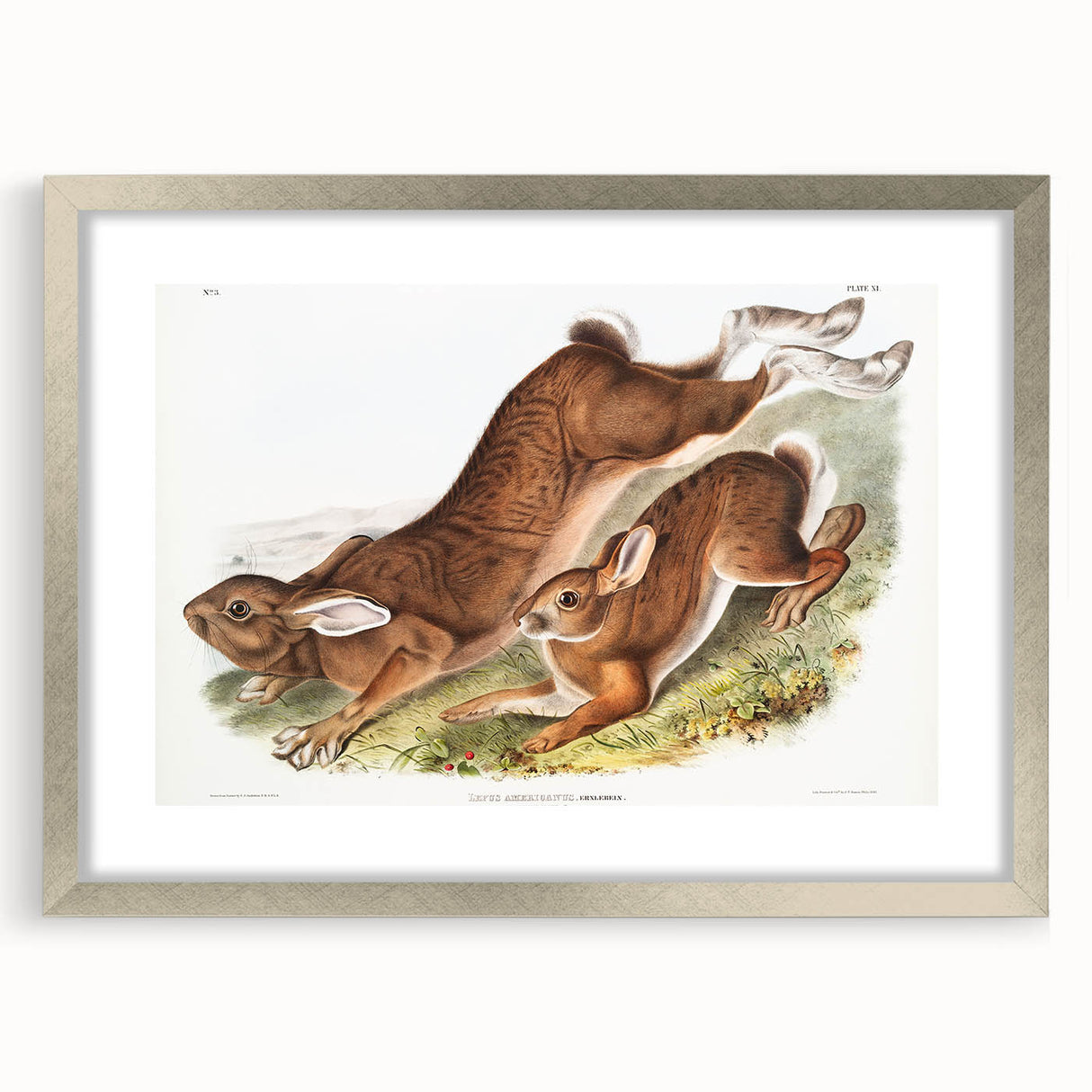 Romanticism Art: Northern Hares - Classic Romantic Wildlife Canvas