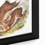 Romanticism Art: Northern Hares - Classic Romantic Wildlife Canvas