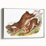 Romanticism Art: Northern Hares - Classic Romantic Wildlife Canvas