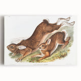Romanticism Art: Northern Hares - Classic Romantic Wildlife Canvas