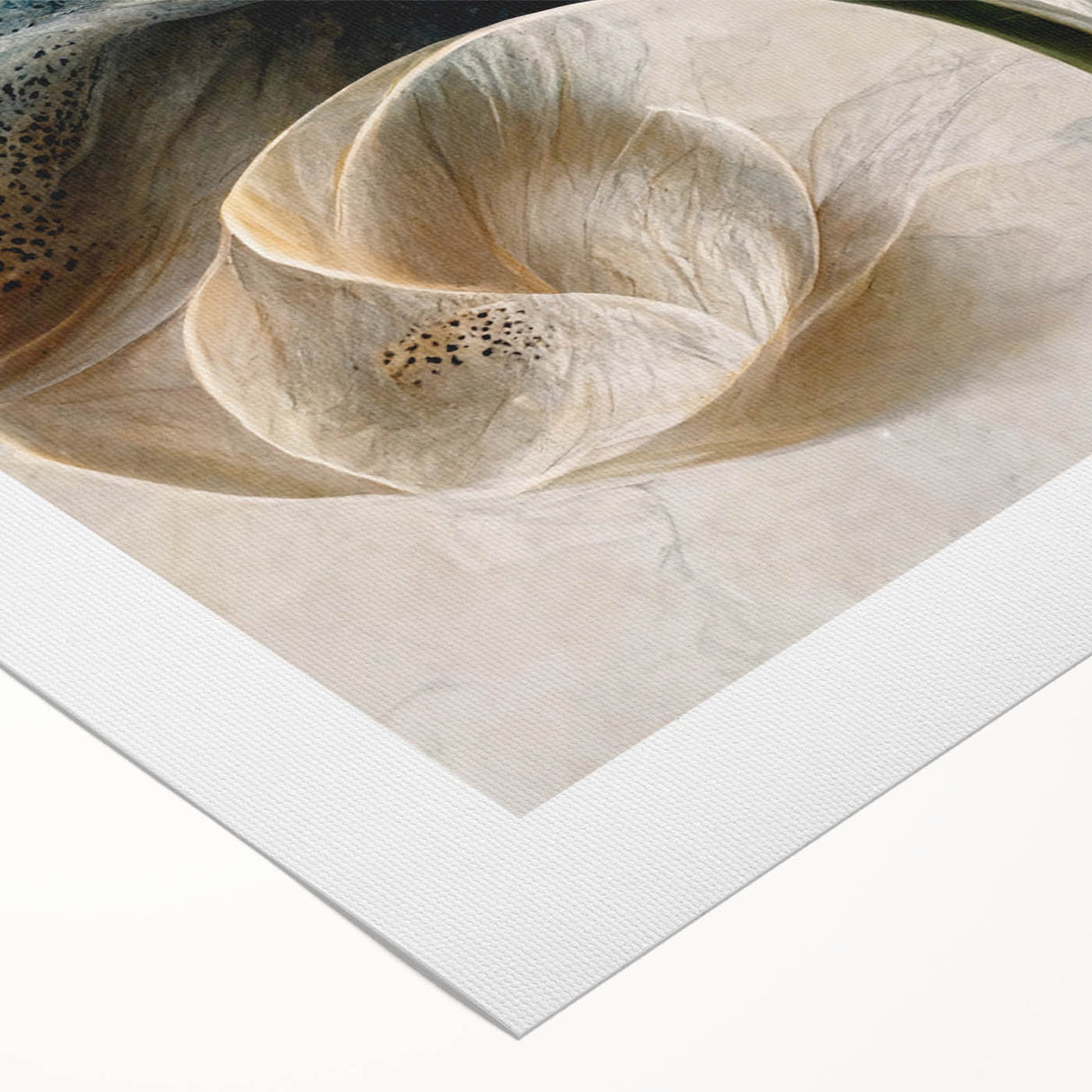 Framed Wall Art for Living Room – Elegant Floral Canvas Print
