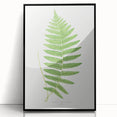 Fine Art Realism: Botanical Fern Illustration Realism Wall Art Canvas
