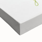 Fine Art Realism: Botanical Fern Illustration Realism Wall Art Canvas