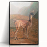 Romanticism Art: Guanaco by Agasse - Classic Wildlife Canvas Print