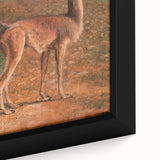 Romanticism Art: Guanaco by Agasse - Classic Wildlife Canvas Print
