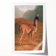 Romanticism Art: Guanaco by Agasse - Classic Wildlife Canvas Print