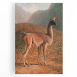 Romanticism Art: Guanaco by Agasse - Classic Wildlife Canvas Print
