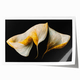 Luxury Floral Wall Art – Gold and White Canvas for Living Room