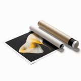 Luxury Floral Wall Art – Gold and White Canvas for Living Room