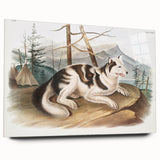 Romanticism Art: Hare Indian Dog by Audubon - Wildlife Canvas Print