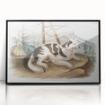 Romanticism Art: Hare Indian Dog by Audubon - Wildlife Canvas Print
