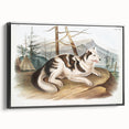 Romanticism Art: Hare Indian Dog by Audubon - Wildlife Canvas Print