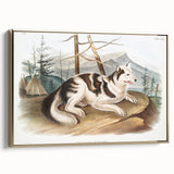 Romanticism Art: Hare Indian Dog by Audubon - Wildlife Canvas Print
