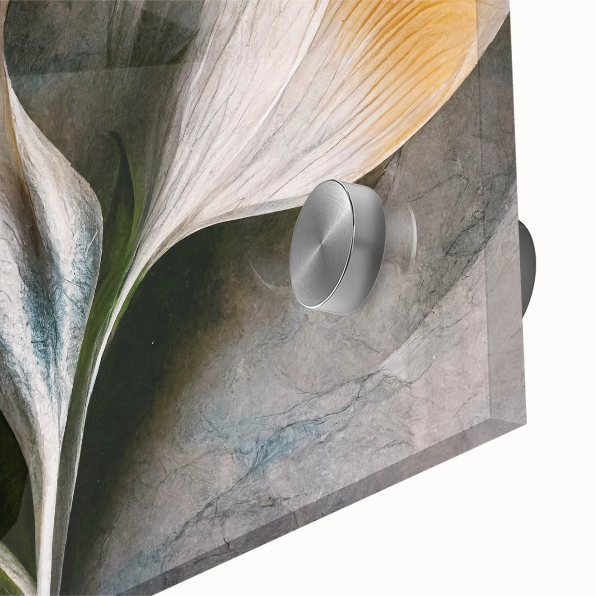 Contemporary Floral Wall Art – White Calla Lily Canvas Print