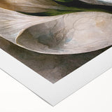 Contemporary Floral Wall Art – White Calla Lily Canvas Print