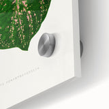 Romanticism Art: Cissus Porphyrophyllus Leaf - Botanical Canvas Print