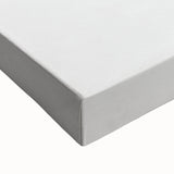 Romanticism Art: Carrot Peach by Gallesio - Botanical Canvas Print