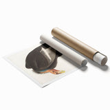 Romanticism Art: Californian Vulture by Audubon - Wildlife Canvas Print