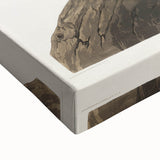 Romanticism Art: Californian Vulture by Audubon - Wildlife Canvas Print