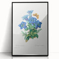 Neoclassical Art Print of Gentiana Acaulis by Redouté - Classical Style