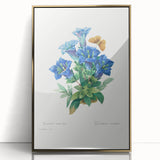 Neoclassical Art Print of Gentiana Acaulis by Redouté - Classical Style