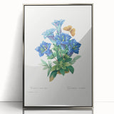 Neoclassical Art Print of Gentiana Acaulis by Redouté - Classical Style