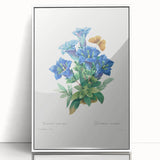 Neoclassical Art Print of Gentiana Acaulis by Redouté - Classical Style