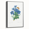 Neoclassical Art Print of Gentiana Acaulis by Redouté - Classical Style