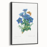 Neoclassical Art Print of Gentiana Acaulis by Redouté - Classical Style
