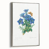 Neoclassical Art Print of Gentiana Acaulis by Redouté - Classical Style