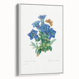 Neoclassical Art Print of Gentiana Acaulis by Redouté - Classical Style